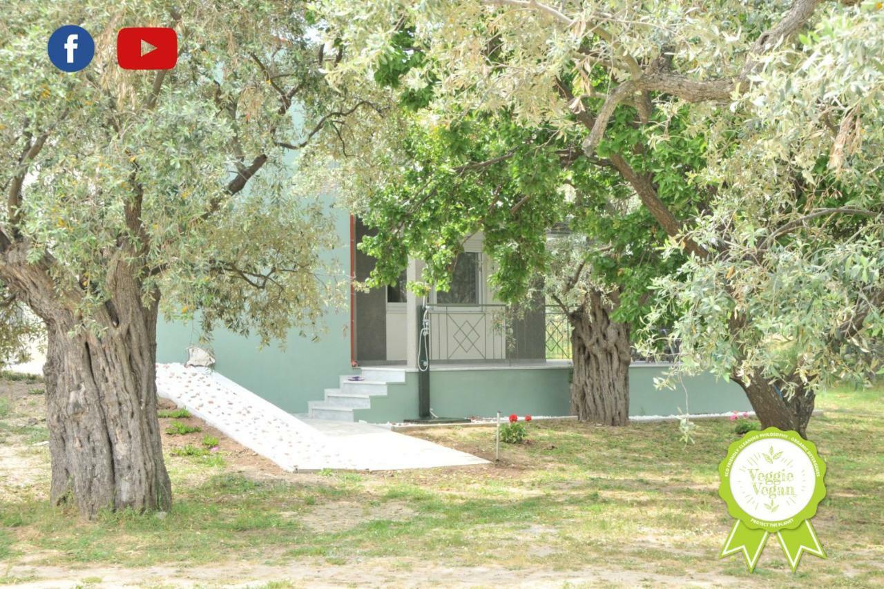 Villa "Elaeda Evdokia" Prínos Exteriér fotografie